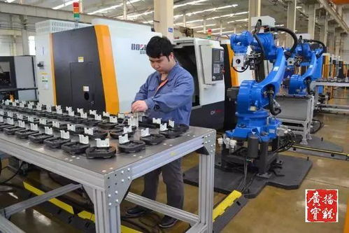 我市具有進(jìn)出口實(shí)績的外貿(mào)企業(yè)增至398家