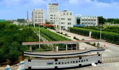 聚酯公司榮膺自治區(qū)綠色工廠稱號(hào) 以技術(shù)引領(lǐng)，鑄就綠色可持續(xù)發(fā)展新標(biāo)桿